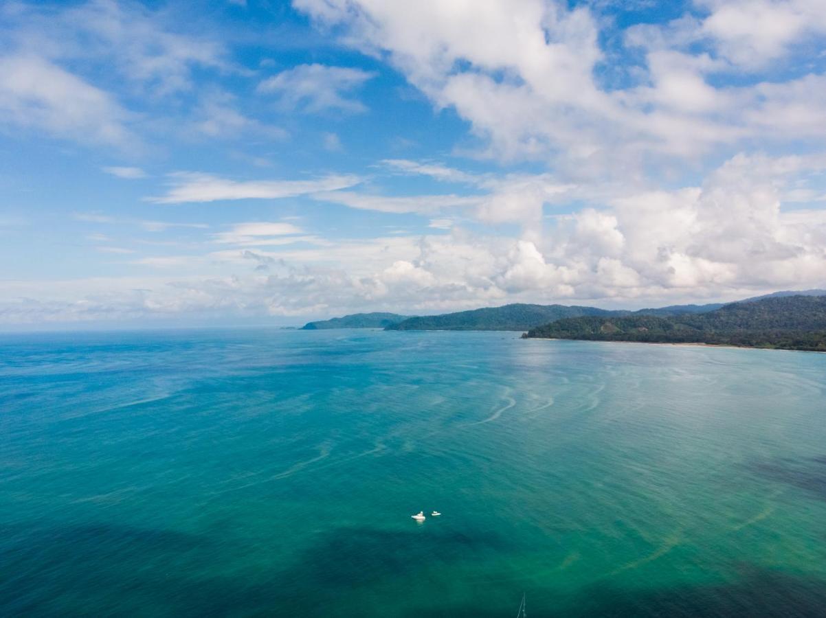Drakes Bay Cotingas Ocean View 빌라 외부 사진